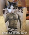 /album/imagens-engra%c3%a7adas/foto-engracada-um-gato-pra-presente-jpg/